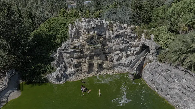 Sahiplendikleri Hayvanlarla Doğada Birlikte Yaşıyorlar (1)