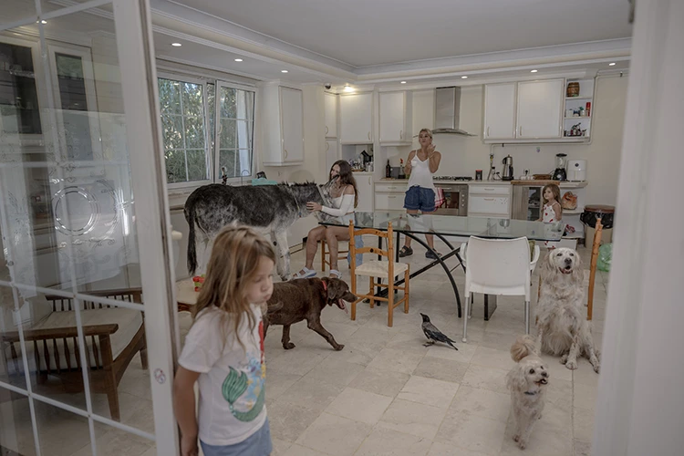 Sahiplendikleri Hayvanlarla Doğada Birlikte Yaşıyorlar (2)