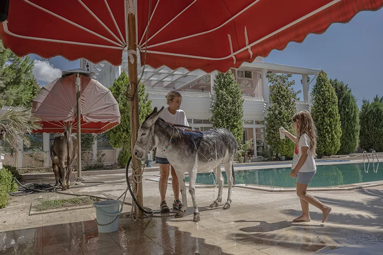 Sahiplendikleri Hayvanlarla Doğada Birlikte Yaşıyorlar (4)