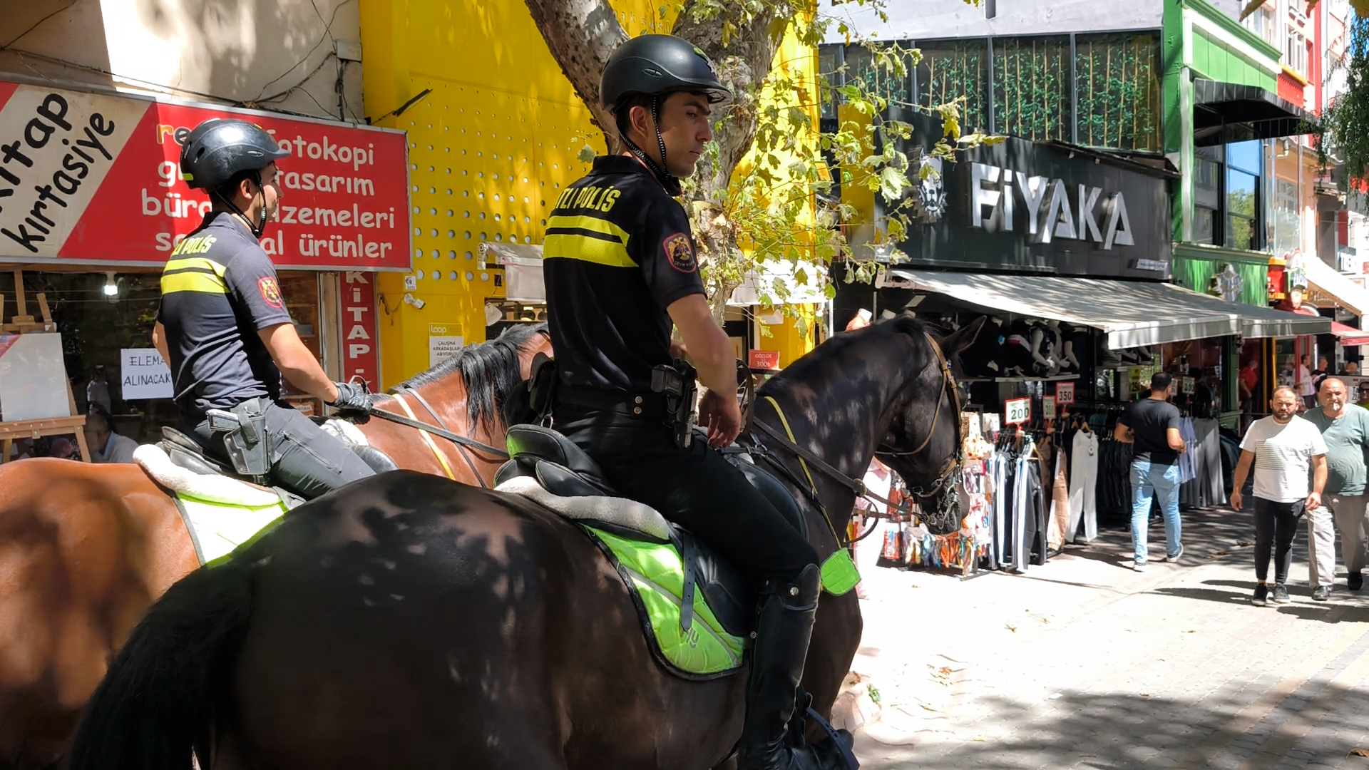 Sequence 01.00 31 47 02.Still004