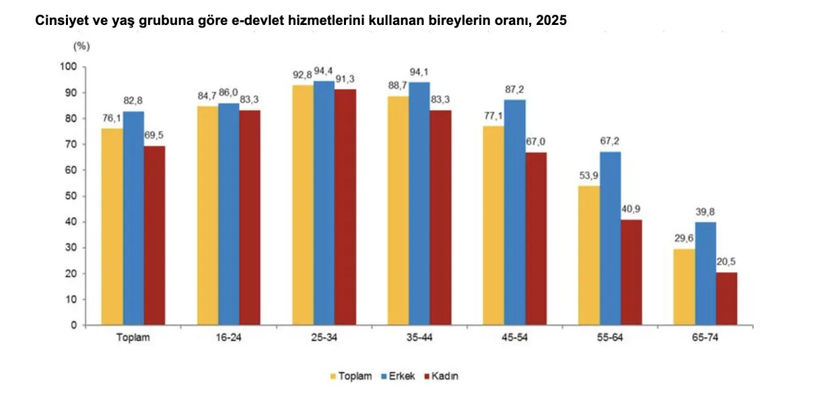 Türkiye’de Internet Kullananların Oranı Yüzde 90,9’A Ulaştı1