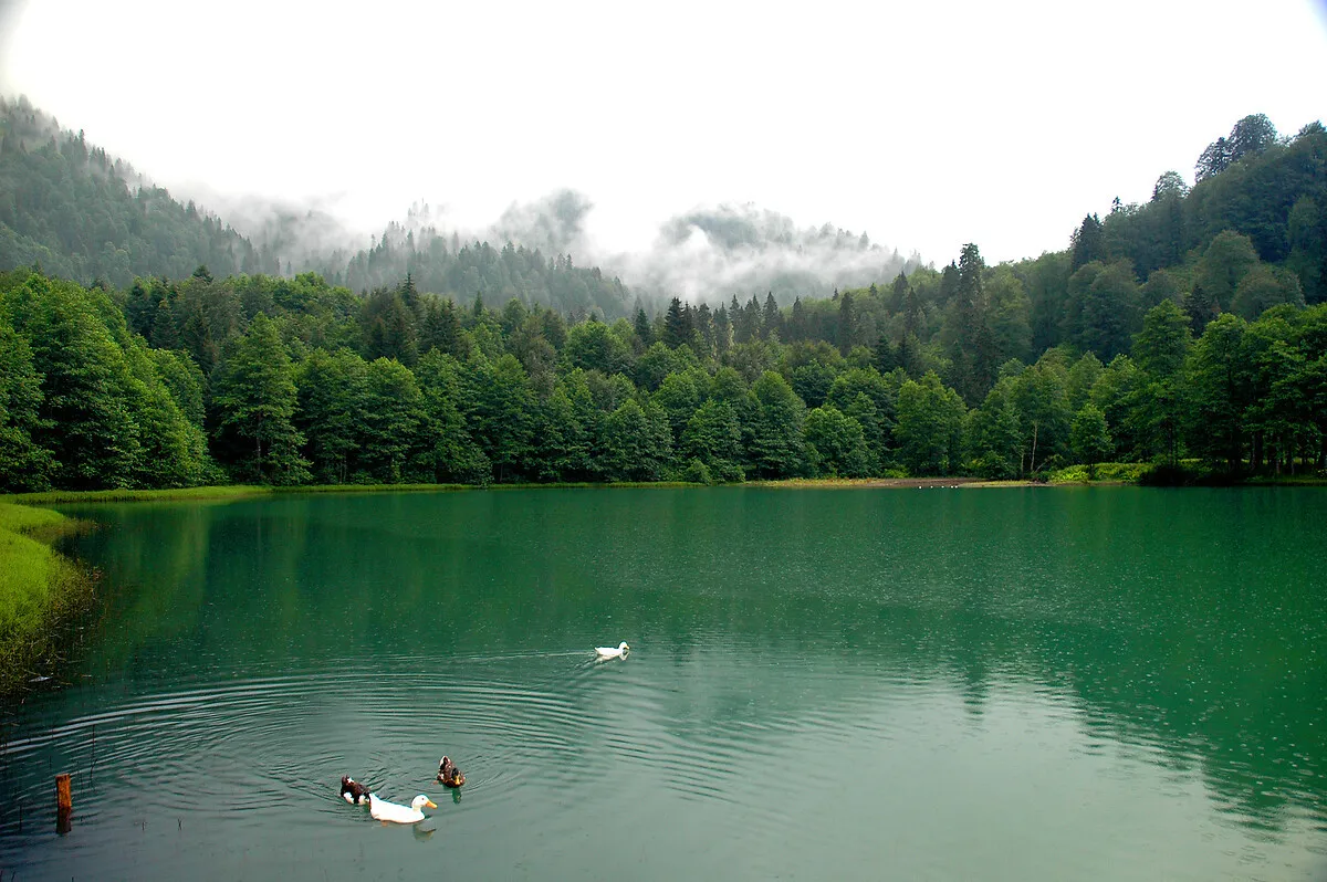 Türkiye’nin En Yeşil Şehirleri3