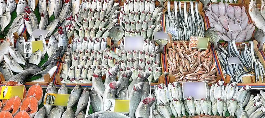 Uzmanlar Uyarıyor Bayat Balık Almayın