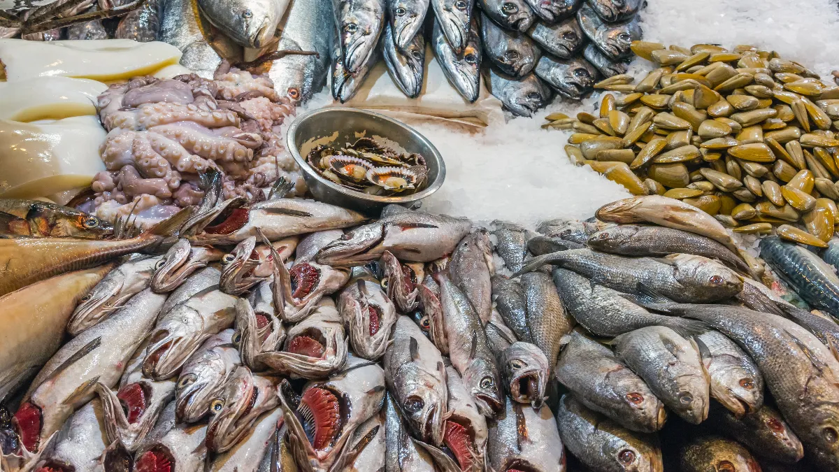 Bu Balıkları Sakın Yemeyin