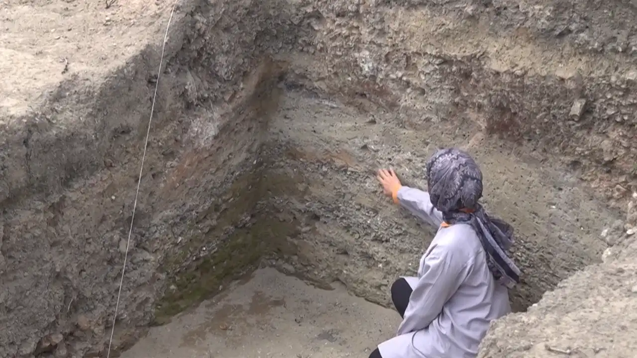 İkiztepe Höyüğü Kazılarında 4 Bin Yıllık Midye Kabukları Bulundu2
