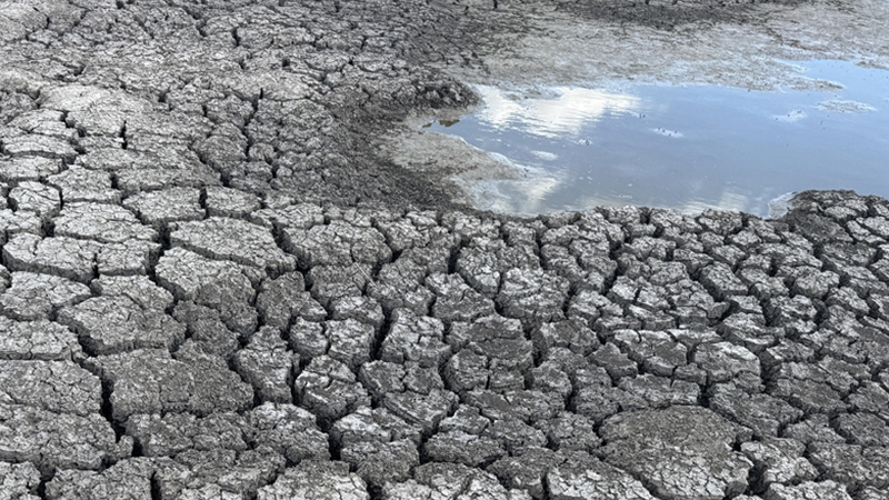 Kütahya Da Olağanüstü Kuraklık Yaşanıyor (3)