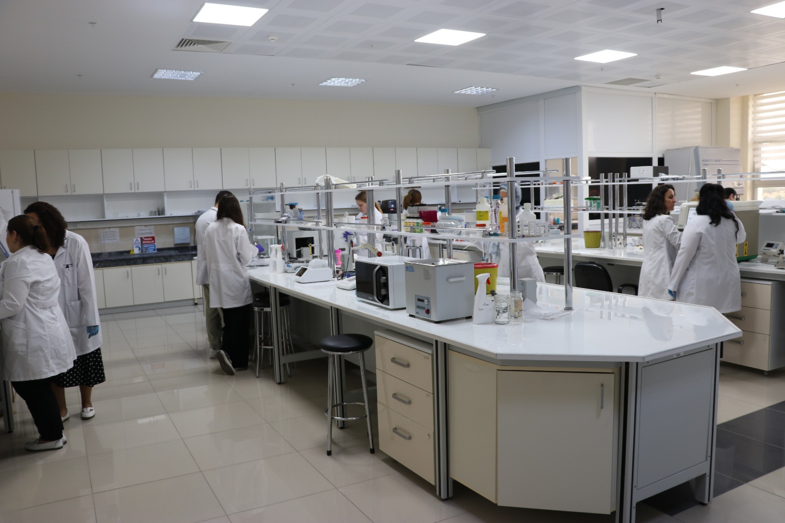 Kütahya’da Bağırsak Hastalıkları Için Bor Mineralli Ürün Geliştirildi1