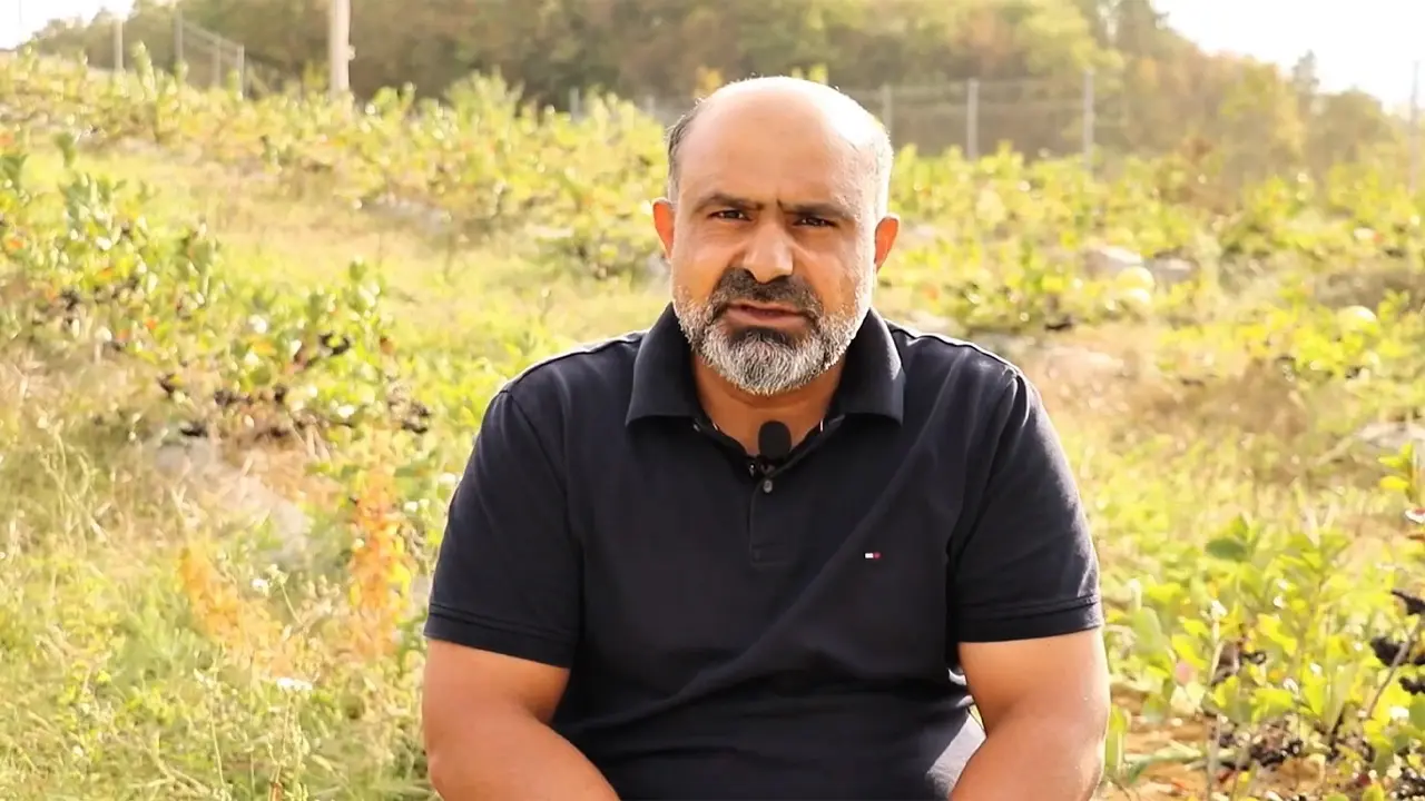 Mide Rahatsızlığına Iyi Gelen Aronyanın Üreticisi Oldu1