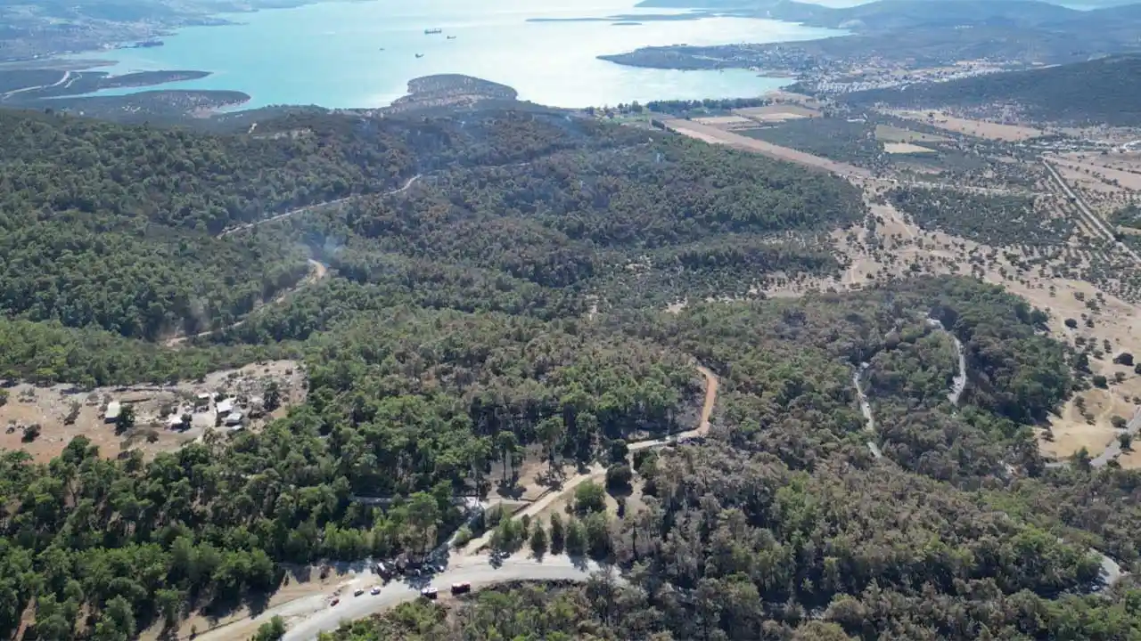 Muğla Milas’ta Çıkan Orman Yangını Kontrol Altına Alındı1