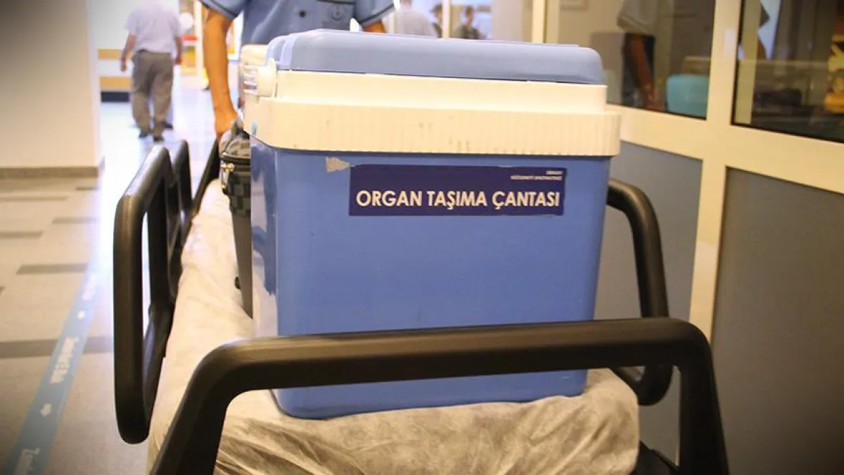 Organ Bağışında E Devlet Ile Yeni Dönem Başlıyor1