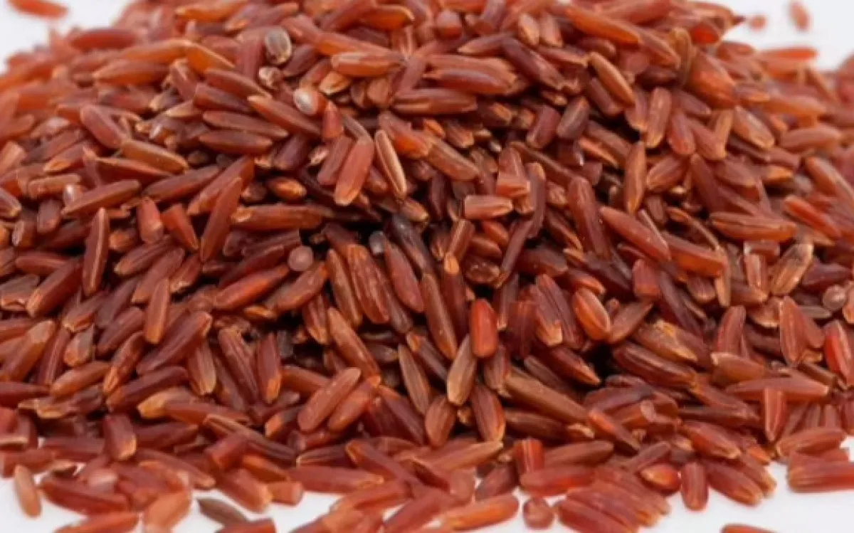 Pirinç Deyip Geçme2