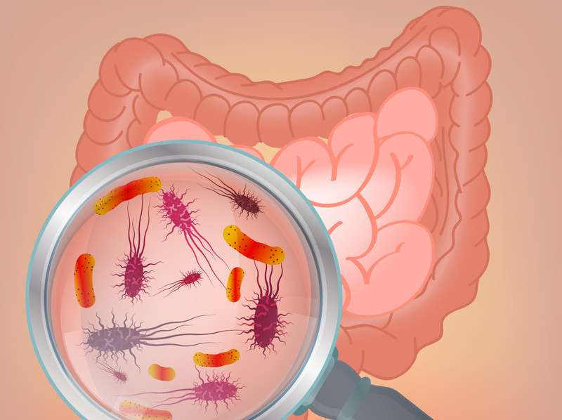 Probiyotik Kullanırken Dikkat Suş Seçimi Çok Önemli