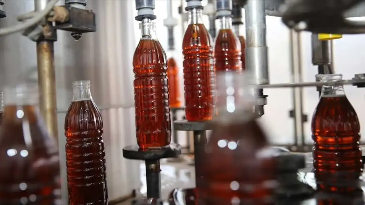 Sirkenin Üç Faydası Sağlık Için Şaşırtıcı Etkiler1