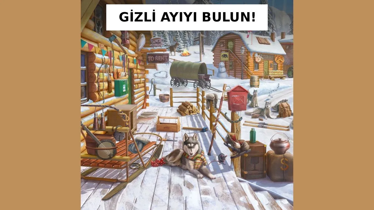 Süre Başladı 12 Saniyede Gizli Ayıyı Bulabilecek Misiniz1