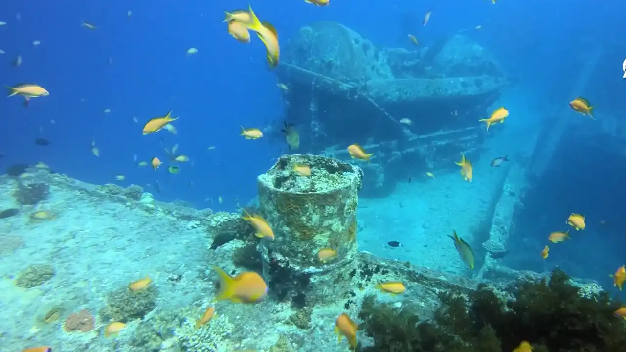 Thistlegorm Batığı Kızıldeniz’in 84 Yıllık Denizaltı Tarihi Ve Dalış Tutkunlarının Vazgeçilmezi 2-1