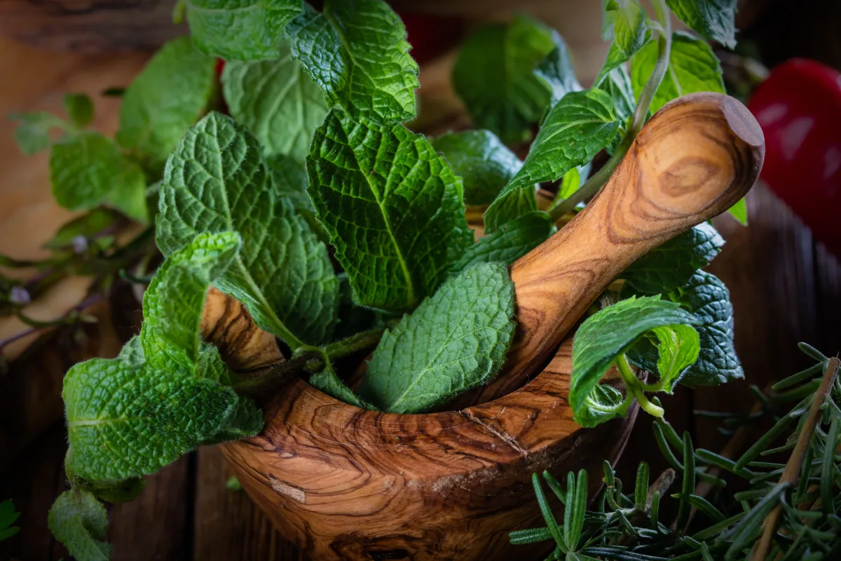 Yolculukta Mide Bulantısına Karşı 7 Etkili Besin2