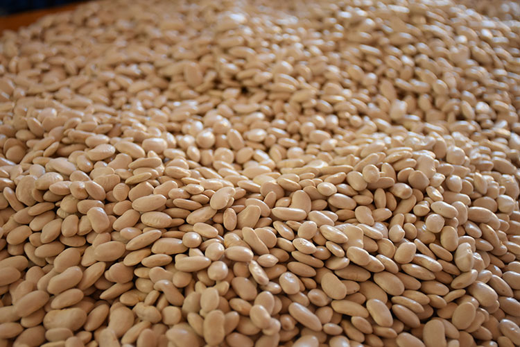 30 Yıllık Aşçı Karbonat Veya Kimyon Yerine Bunu Kullanıyor 1