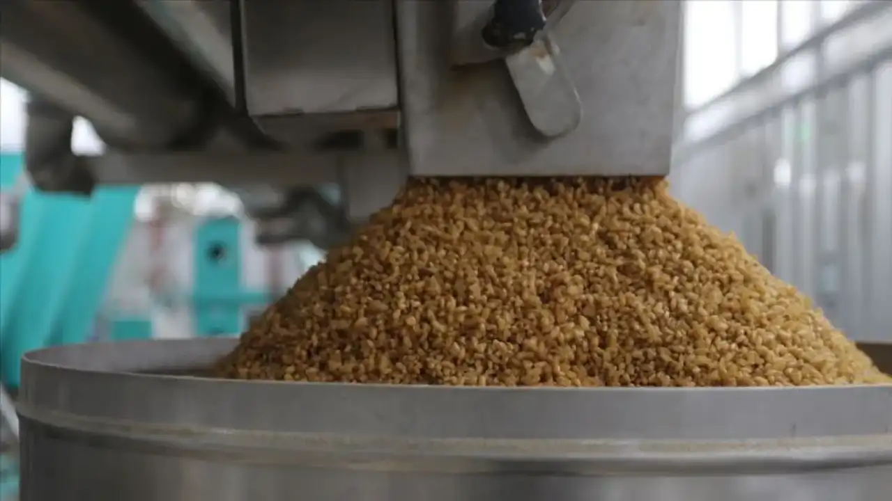 Anti Kanser Etkili Besinler Sofranızdan Eksik Etmeyin 1