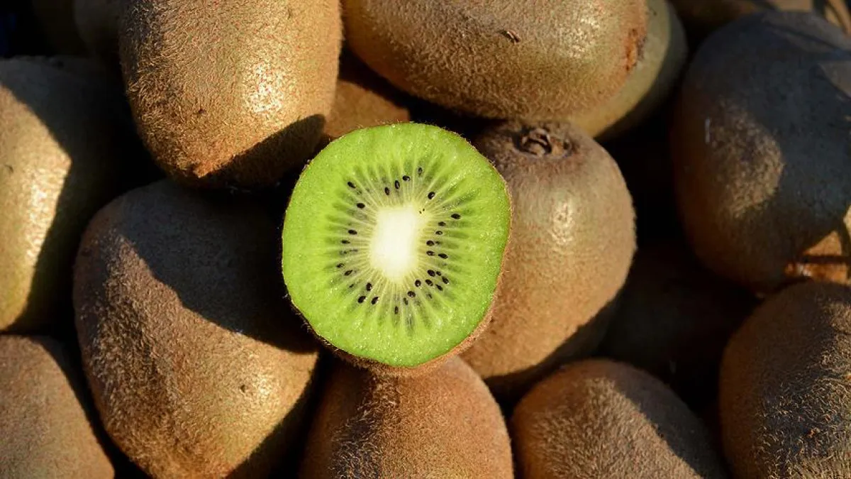 Bu 7 Meyveyi Mutlaka Tüketin Kalbin Yükü Hafifliyor5