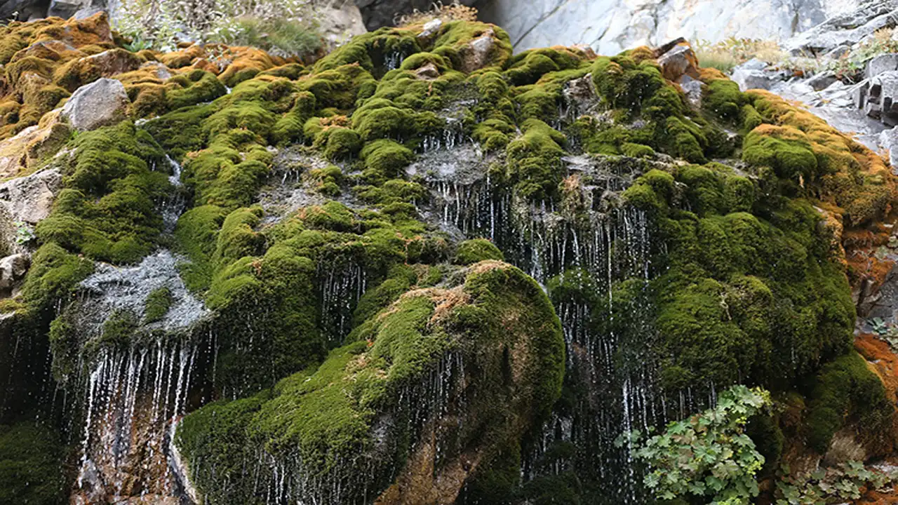 Bursa'da Su Alarmı Barajlar Boş, Uludağ Pınarları Kuruyor 1