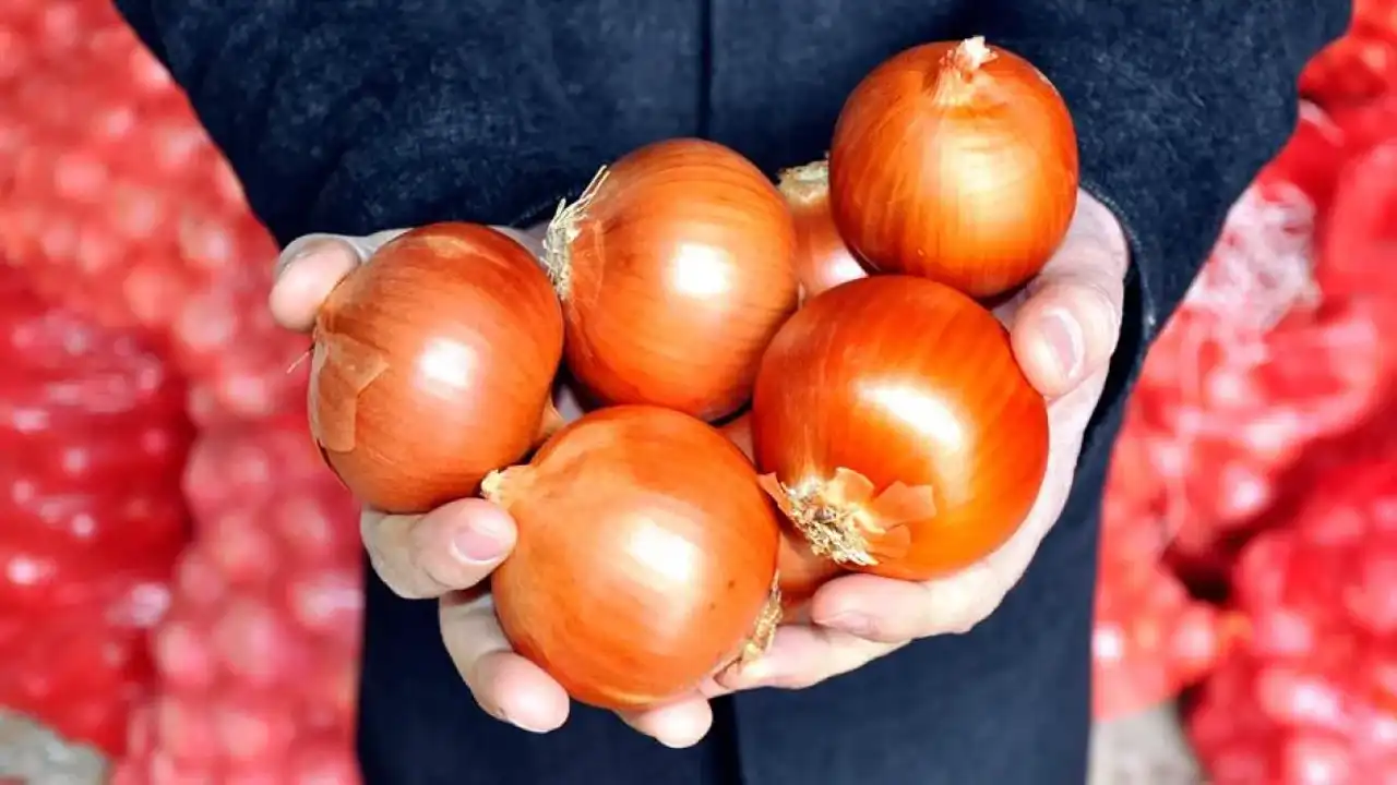 Buzdolabı Hatası Saklamamanız Gereken 6 Gıda 2