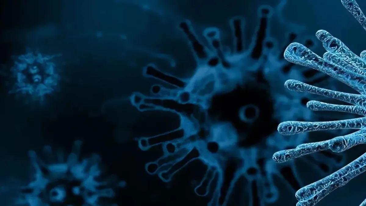 Çocukları Hedef Alıyor Nimbus Varyantı Belirtileri1