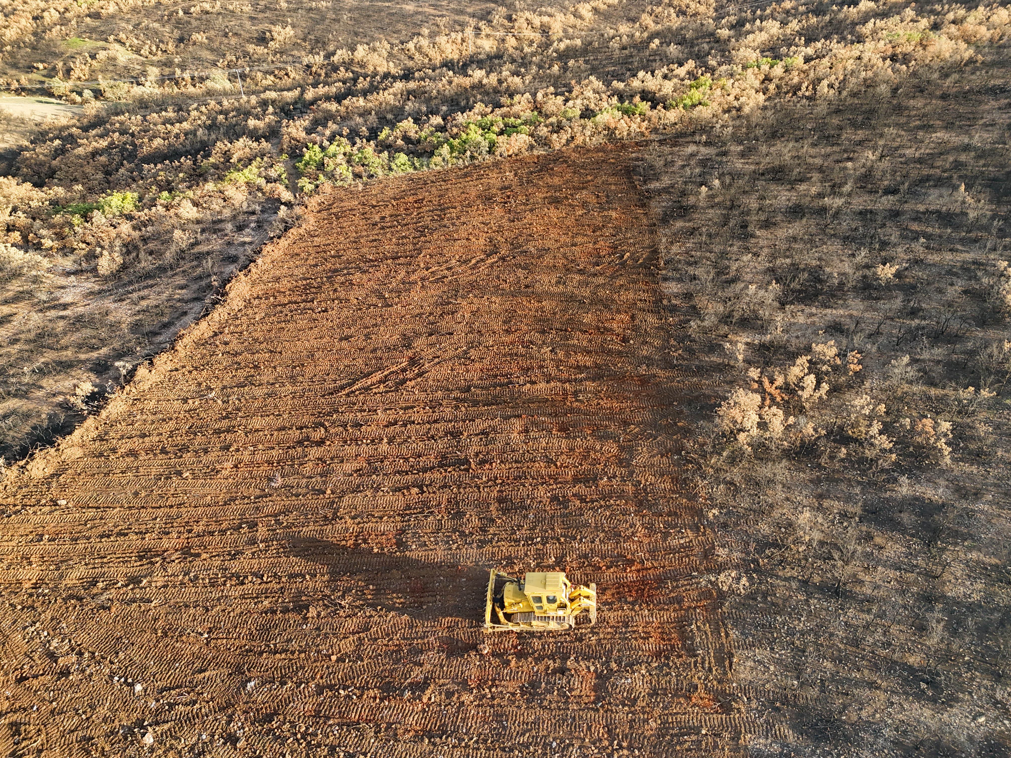 Denizli Ve Uşak'ta 20 Yılda 306 Milyon Fidan Toprakla Buluştu (3)