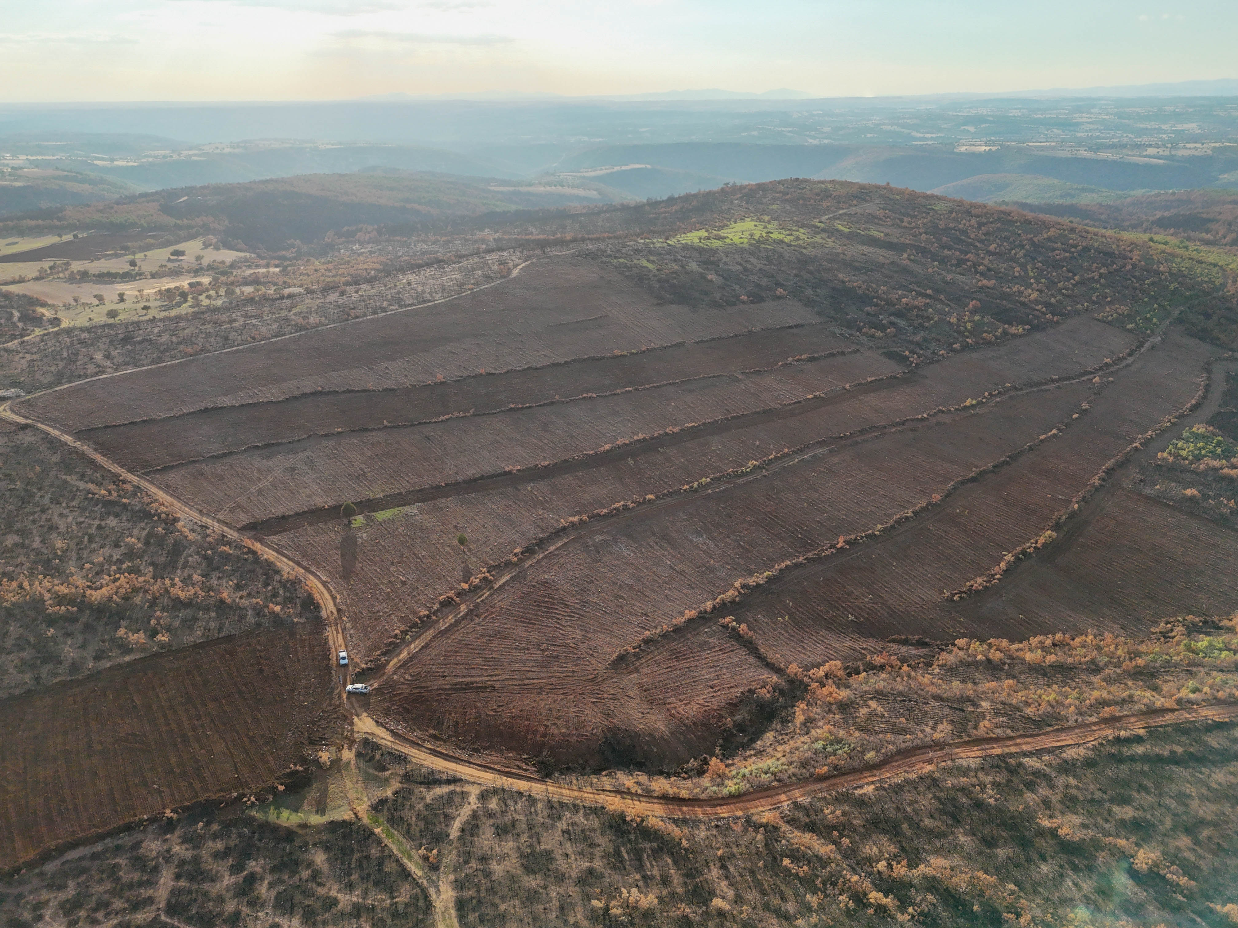 Denizli Ve Uşak'ta 20 Yılda 306 Milyon Fidan Toprakla Buluştu (4)