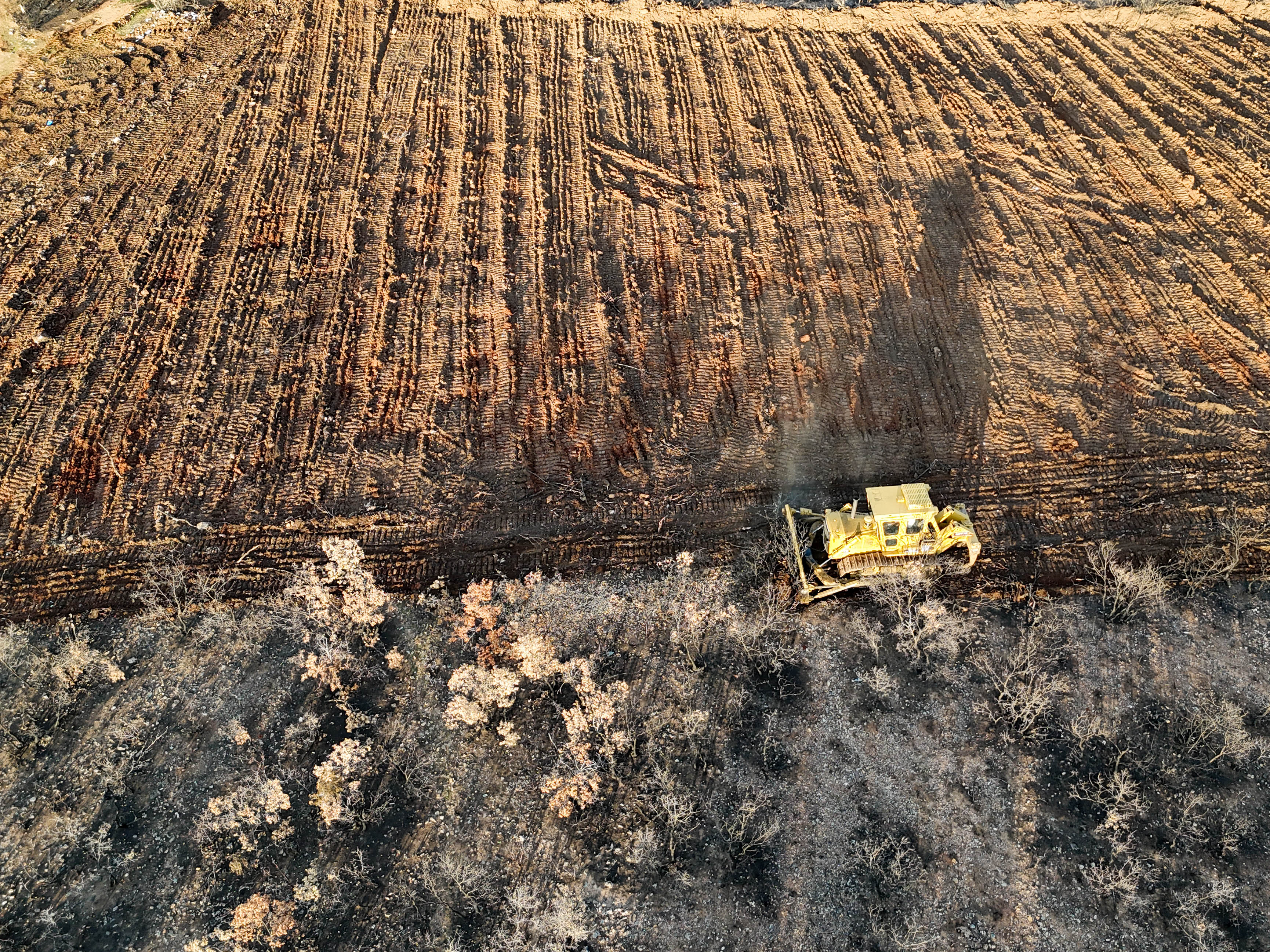 Denizli Ve Uşak'ta 20 Yılda 306 Milyon Fidan Toprakla Buluştu (5)