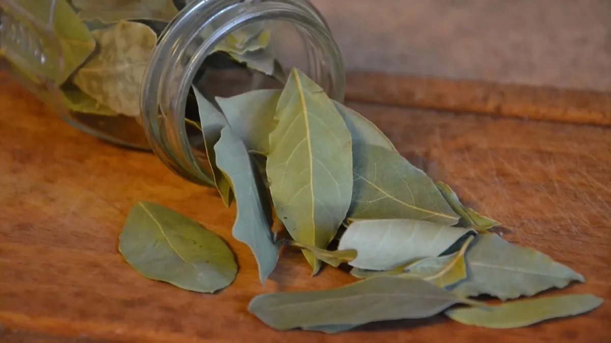 Dolaplarınıza Defne Yaprağı Koyun, Böcek Ve Küften Kurtulun1