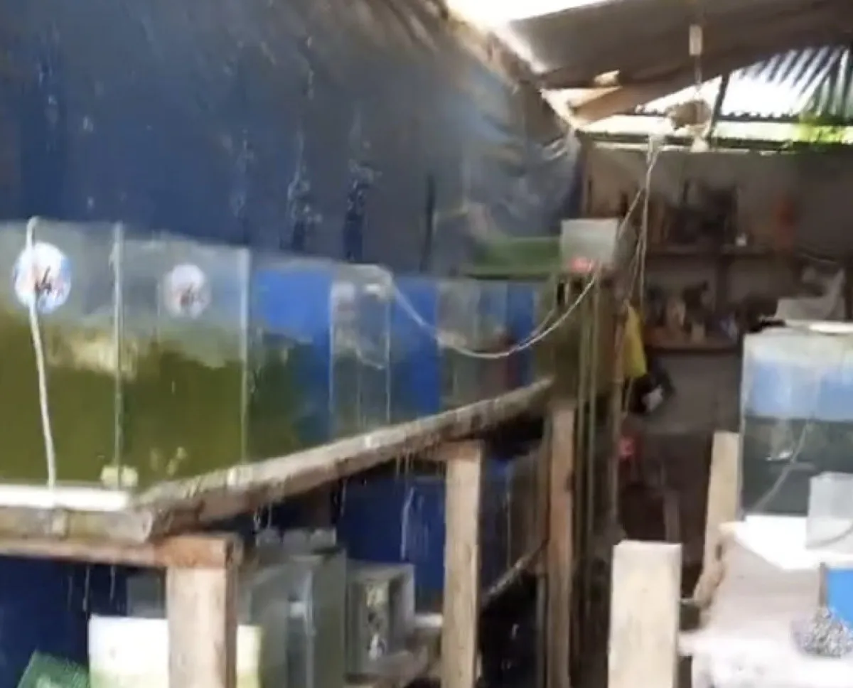 Filipinler’de 7.4 Büyüklüğünde Deprem