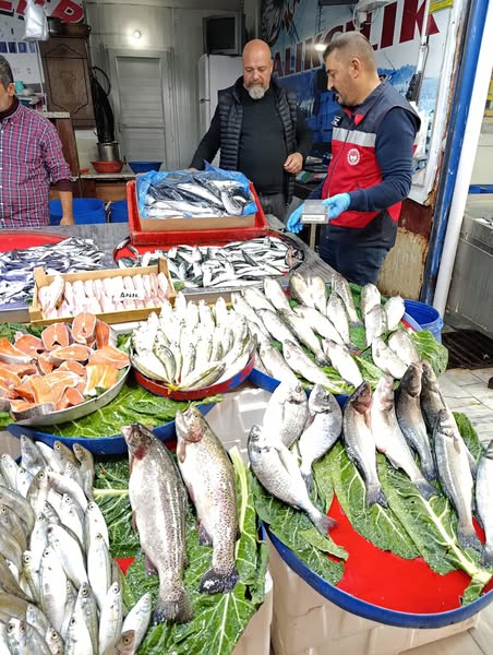 Gediz'de Balıkçılık Işletmelerinde Rutin Denetimler 1