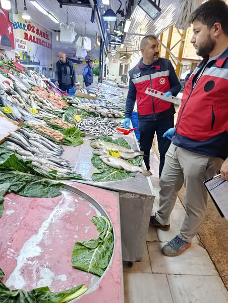 Gediz'de Balıkçılık Işletmelerinde Rutin Denetimler 2