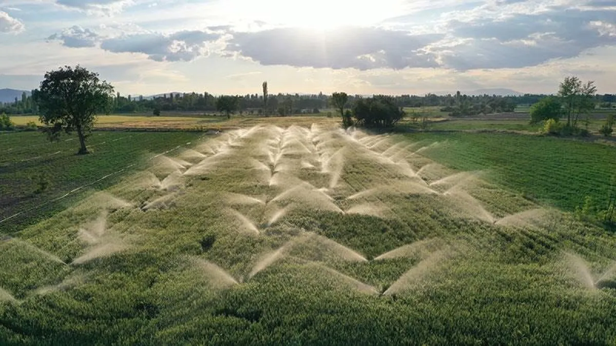 Hazine Destekli Tarımsal Kredi Limitlerinde Düzenleme1