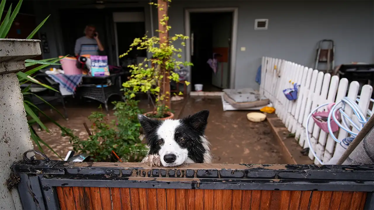 İzmir Bergama’da Sağanak Sele Yol Açtı 1