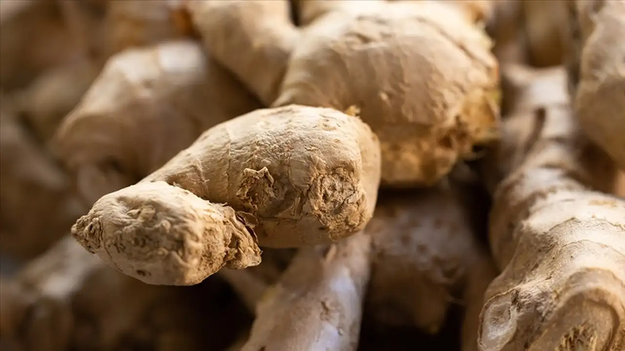 Kışa Karşı Doğal Antibiyotik Gıdalar