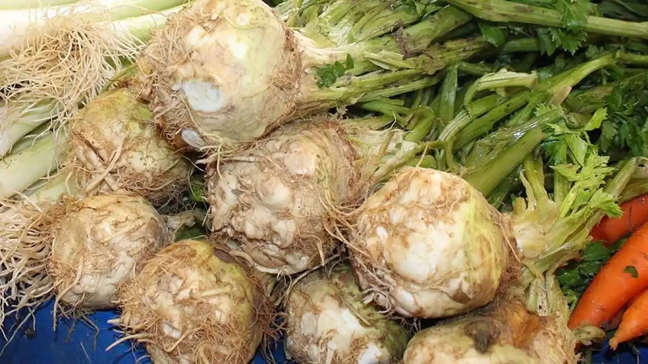 Kışın Bu 7 Sebzeyi Sofranızdan Eksik Etmeyin 2