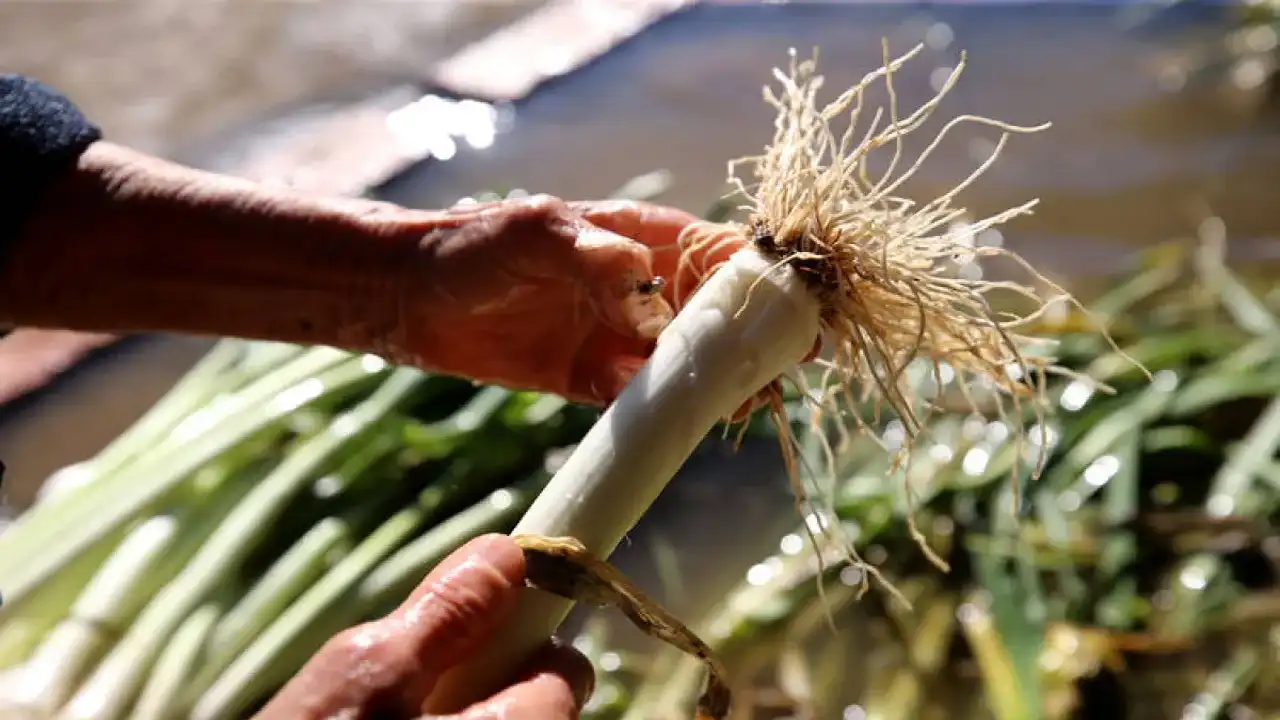 Kışın Bu 7 Sebzeyi Sofranızdan Eksik Etmeyin 4