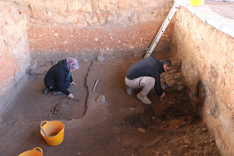 Küllüoba'da Bulunan Tohum Ve Bitki Kalıntıları, Ölü Gömme Ritüelini Ortaya Koydu1