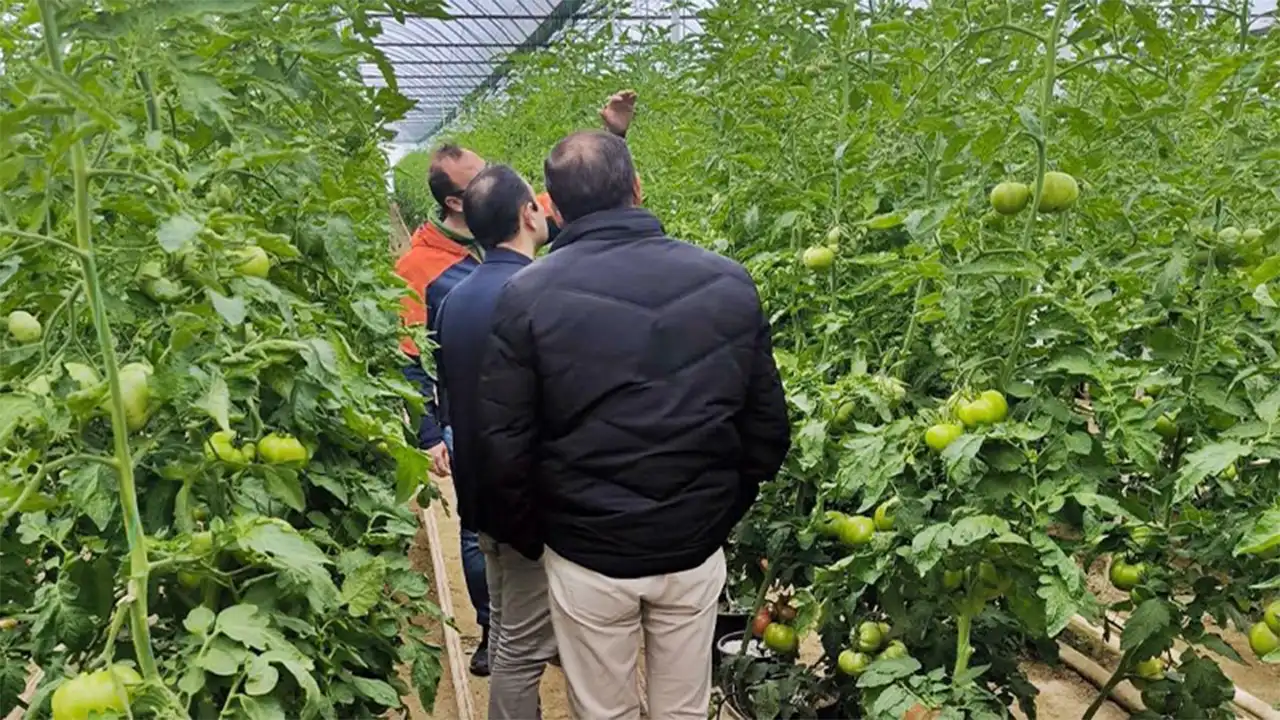 Kütahya Emet’te Üreticilere Seracılık Teknik Gezisi Düzenlendi 1