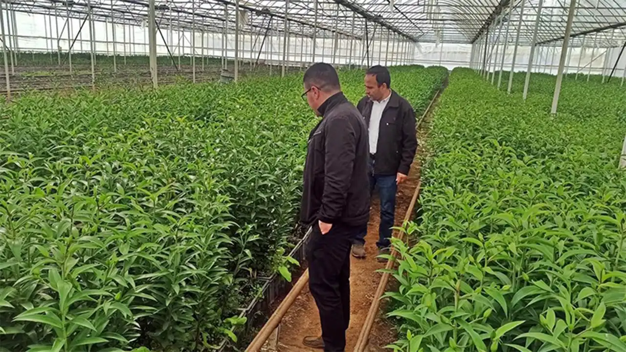 Kütahya Emet’te Üreticilere Seracılık Teknik Gezisi Düzenlendi 2