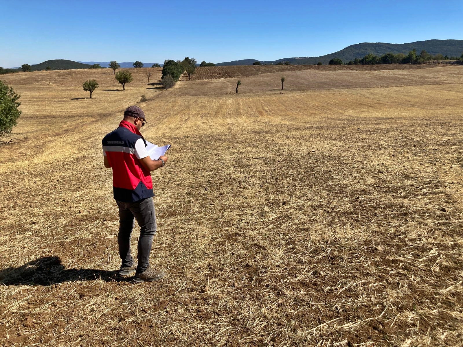 Kütahya Tavşanlı’da Ürün Beyan Doğrulama Çalışmaları Sürüyor1