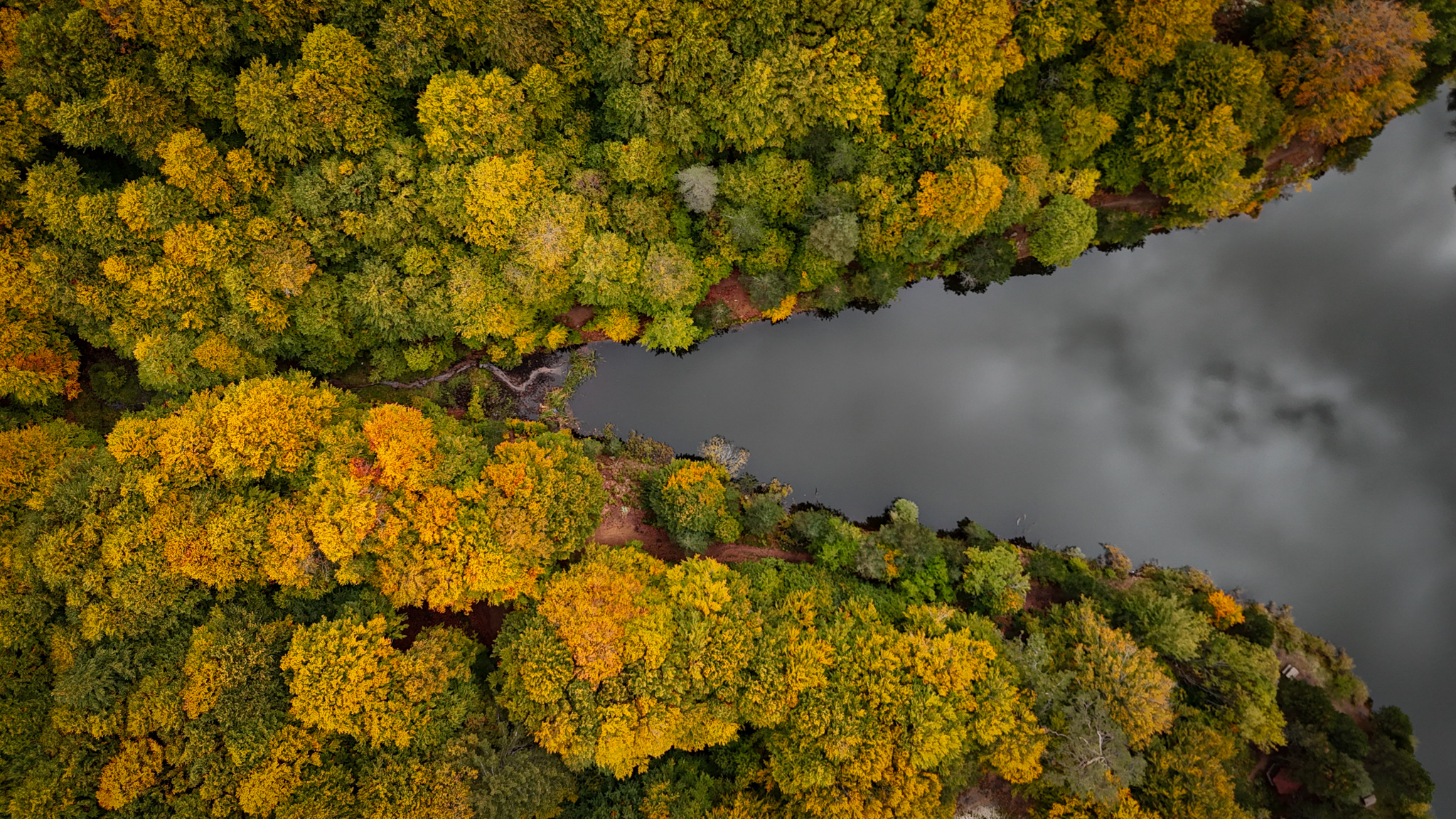 Kütahya’da Domaniç Dağlarında Renkler Sonbahar’a Döndü (2)