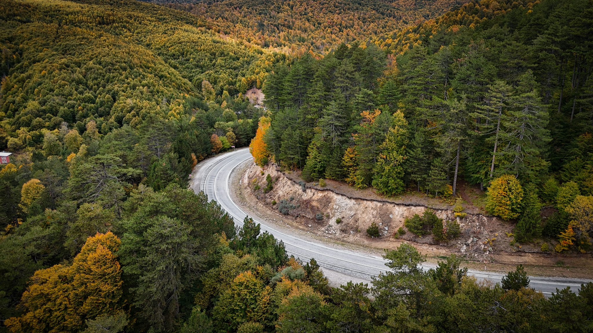 Kütahya’da Domaniç Dağlarında Renkler Sonbahar’a Döndü (3)