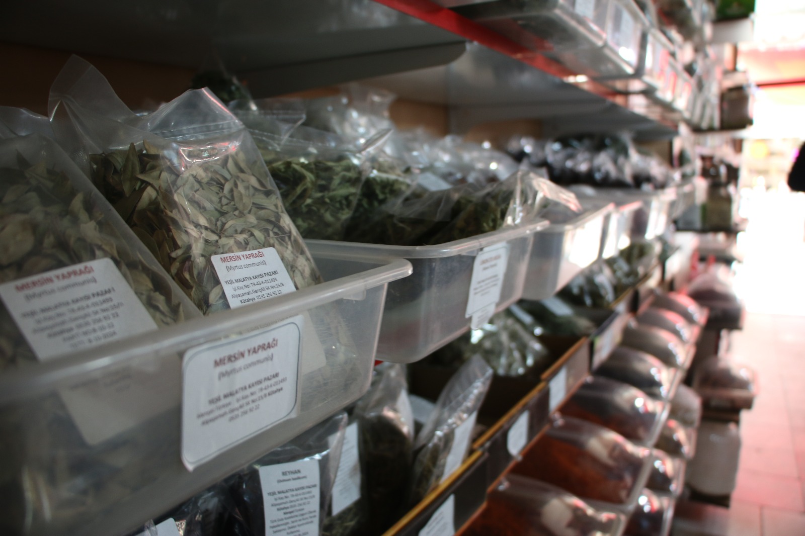 Kütahya’da Havalar Soğudu, Bitki Çaylarına Ilgi Arttı (5)