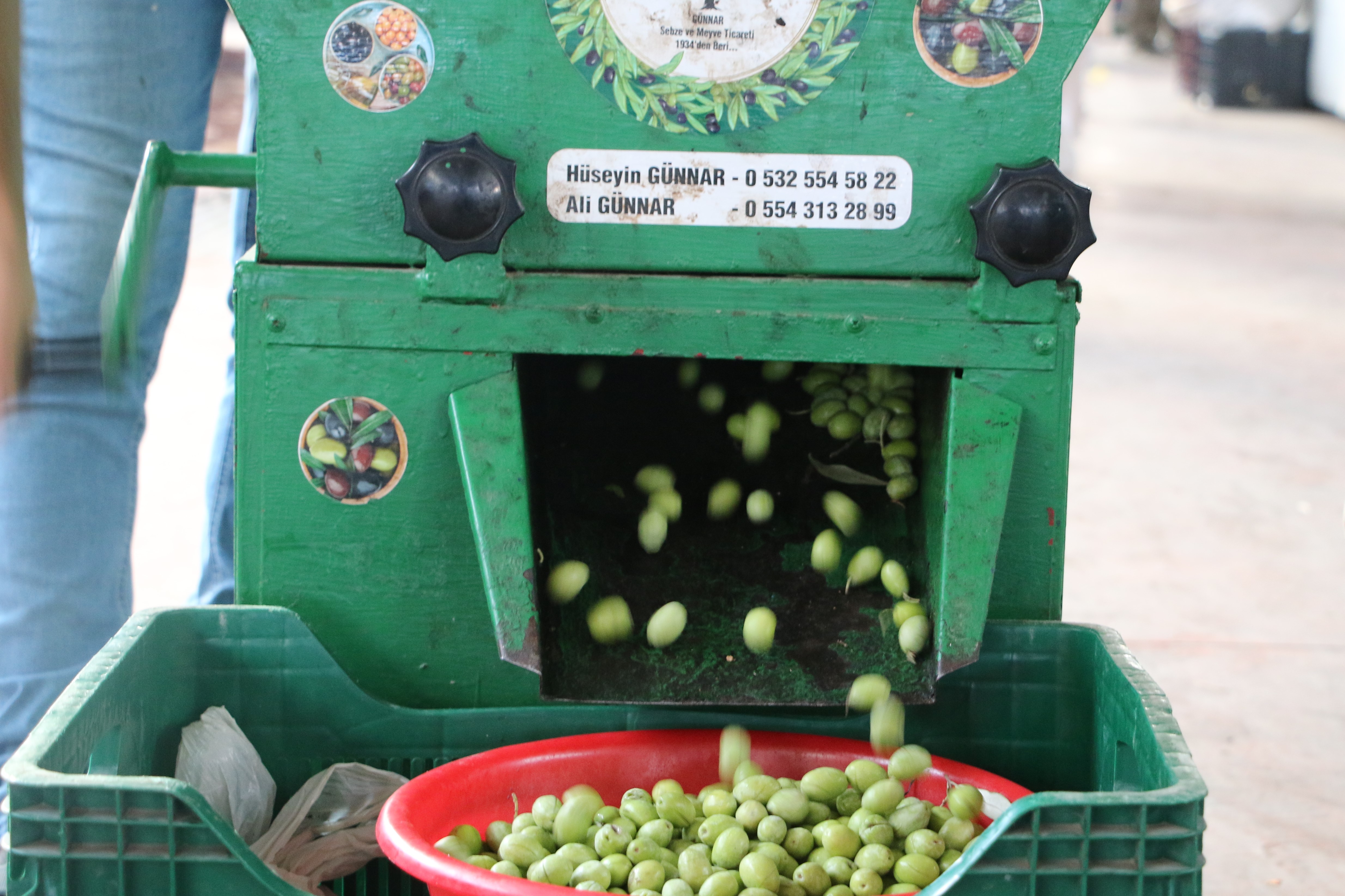 Kütahya’da Zeytin Alanlara Ücretsiz Kırma, Çizme Hizmeti (1)
