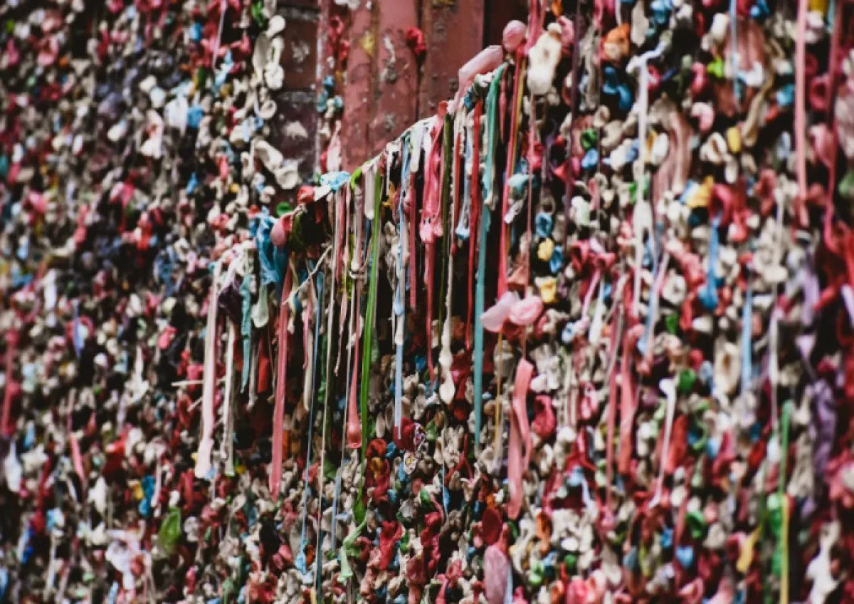 Seattle’ın Sıra Dışı Turistik Noktası2