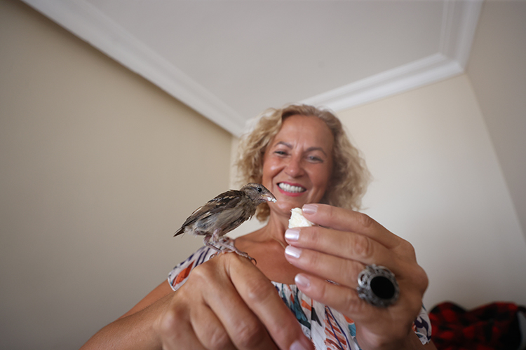 Serçe Yavrusu Kıvılcım Emekli Hemşirenin Yol Arkadaşı Oldu 2