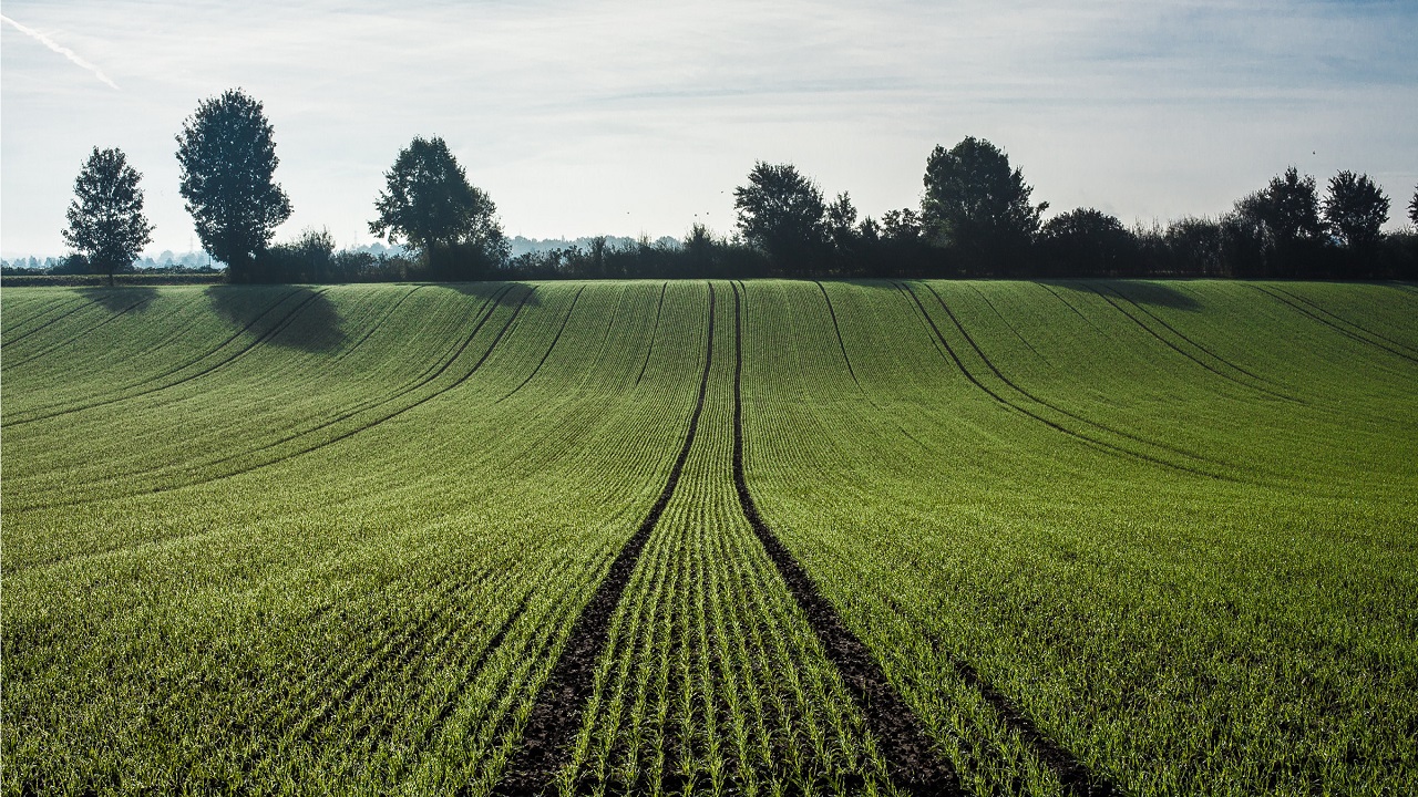Simav'da büyük alan satışa çıktı: Mahkeme bu rakamı getirene satılacağını duyurdu-1