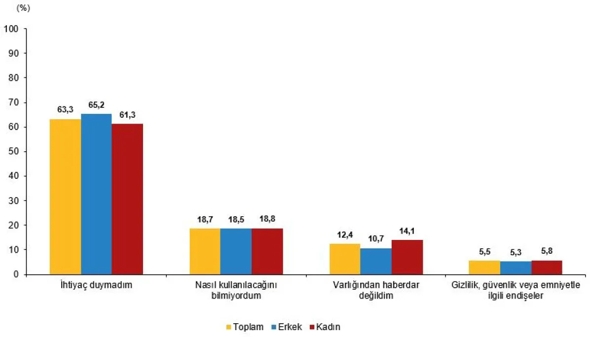 Tüi̇k 2025 Yapay Zeka Karnesi Türkiye’de Dijital Sıçrama3